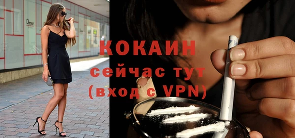 твердый Аркадак