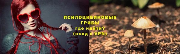 твердый Аркадак