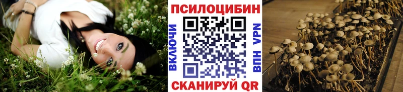 Купить закладки  Болхов  Галлюциногенные грибы GOLDEN TEACHER 